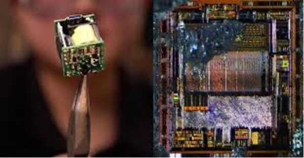 image for I’ve never seen anything like this