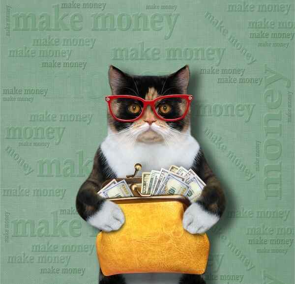 Cat holding a bag of money