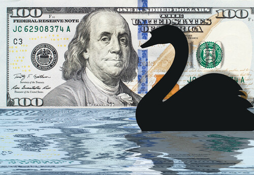 Black swan in front of a one hundred dollar bill