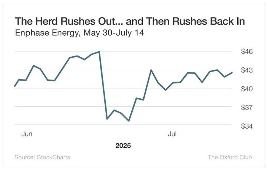 Chart: The Herd Rushes Out... and Then Rushes Back In